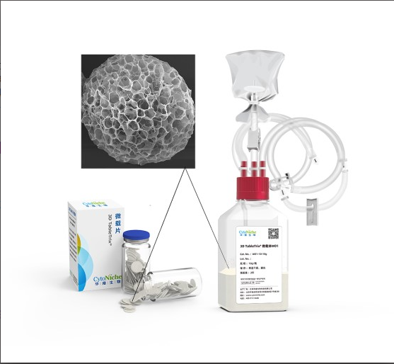 3D-культивирование: предлагаем комплексные решения от лабораторий до биопроизводства