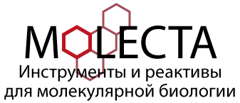 Молекта