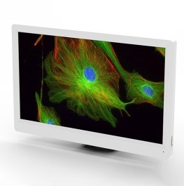 Камера цифровая HD LCD Digital Microscope Camera, BLC-600 Plus, 6 Мп, BestScope