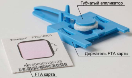 Зонды-аппликаторы щечные EasiCollect+, с интегрированной FTA картой с индикатором, для сбора слюны/клеток буккального эпителия Фото 1