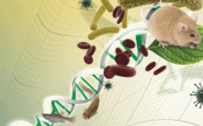 Fermentas (Thermo Fisher Scientific) - знаменитые ферменты рестрикции и реактивы для молекулярной биологии