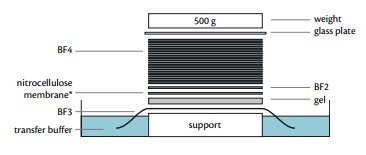Фильтры бумажные для блоттинга, 0,50 мм, 125×125 мм, 200 шт./уп.