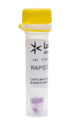 Краситель флуоресцентный RAPID DiI, липофильный, для мечения мембран и трассировки клеток, 5 мкг, Lumiprobe