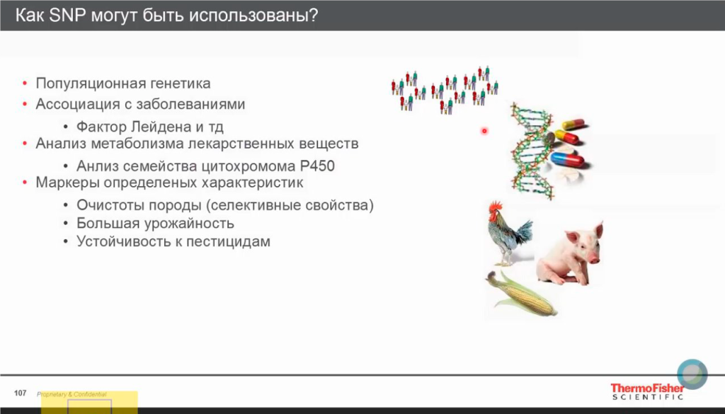 Как использовать SNP