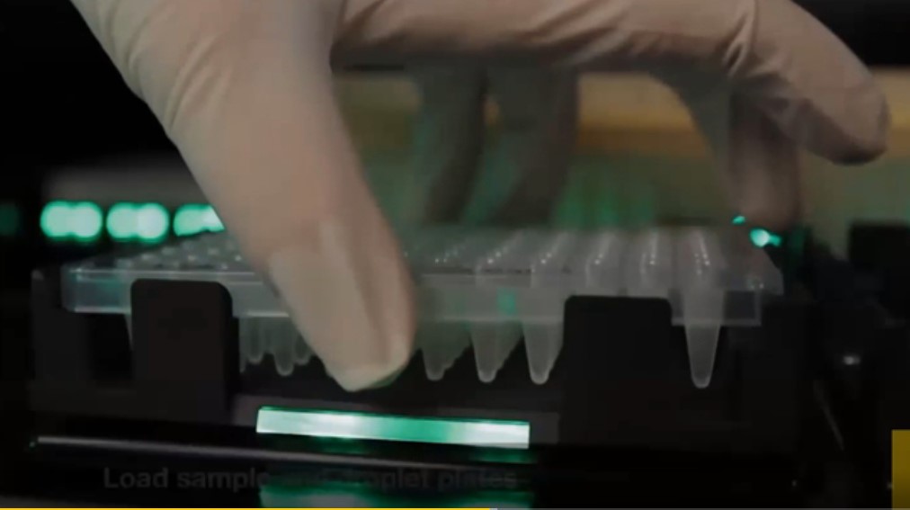 Load sample droplet plates