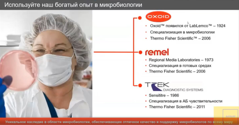 Опыт в микробиологии