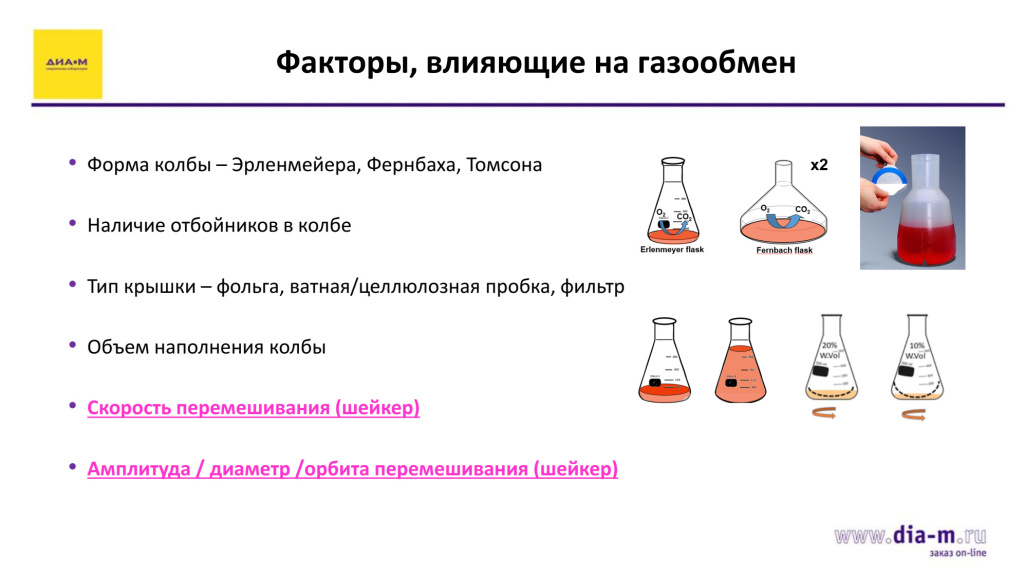Факторы, влияющие на газообмен в колбе