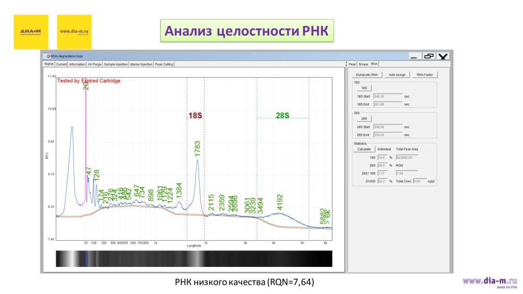 Анализ целостности РНК-2