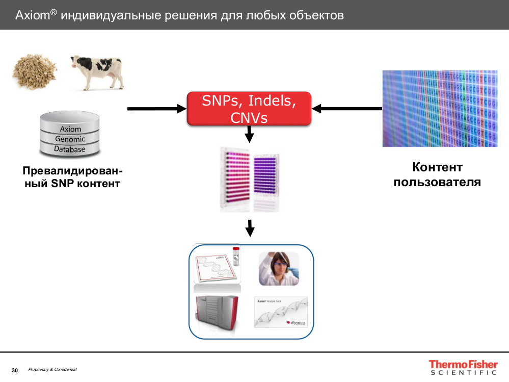 Axiom индивидуальные решения для любых лбъектов
