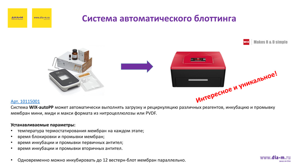 Система автоматического блоттинга Система автоматического блоттинга