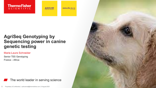 Исследования по собакам