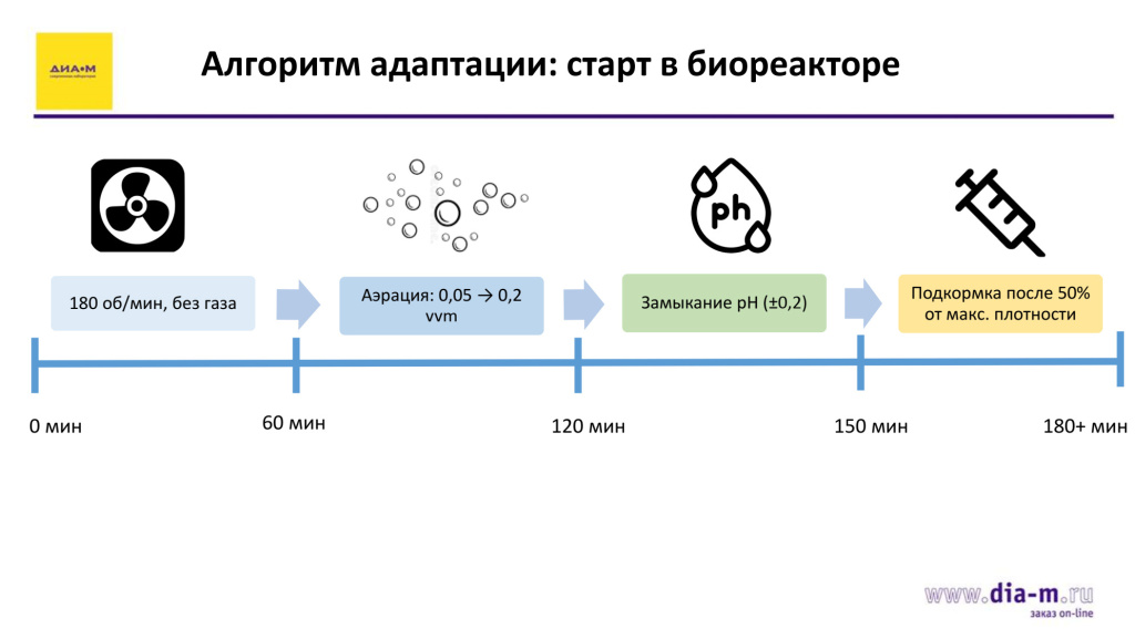 Алгоритм старта в биореакторе