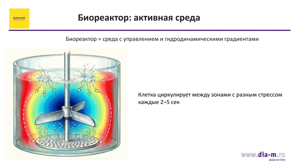 Биореактор: активная среда