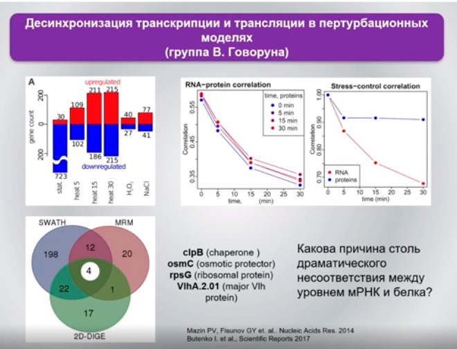 десинхронизация транскрипции и трансляции в пертурбационных моделях.jpg