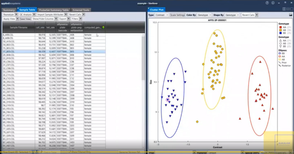 Рабочее пространство программы Axiom Suite Analysis