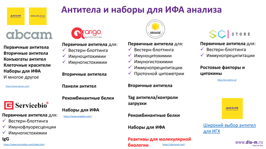 Антитела и наборы для ИФА Антитела и наборы для ИФА
