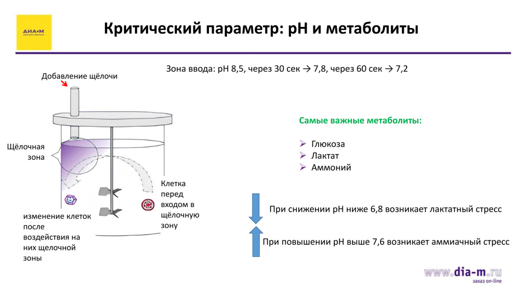 Критический параметр: pH и метаболиты