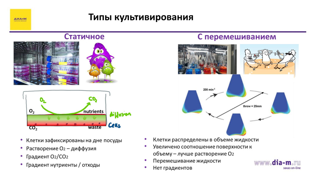 Типы культивирования: статичное и суспензионное
