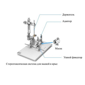 Комплектующие стереотаксической системы, RWD Life Science, Китай