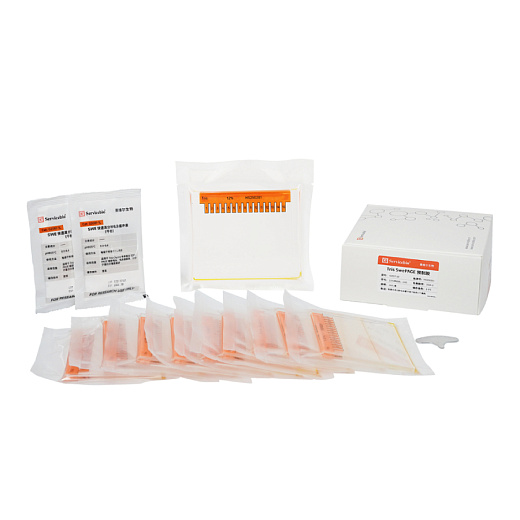 Гель для электрофореза белков полиакриламидный готовый Tris Swe Page Pre-Cast Gel, 15 лунок, 12%, Servicebio, Китай