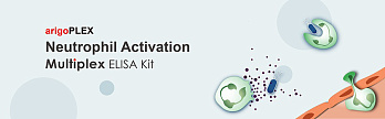 Набор ИФА arigoPLEX Mouse M1/M2 Cytokines (IL4, IL6, IL10, TNF alpha), 96 тестов, Arigobio, Китай