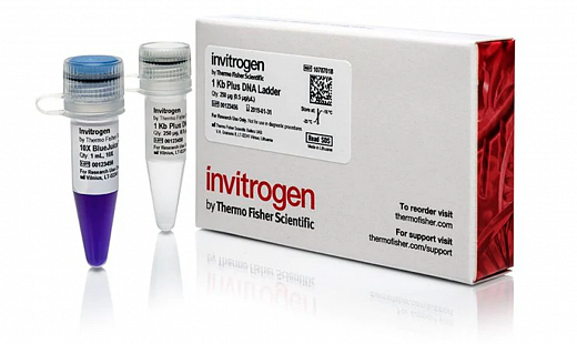 Маркер длин ДНК ,1 Kb Plus, 18 фрагментов от 100 п.н. до 15000 п.н., 0,5 мкг/мл Фото 2