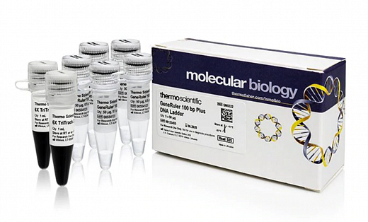 Маркер длин ДНК GeneRuler 100 bp Plus, 14 фрагментов от 100 до 3000 п.н., 0,5 мкг/мкл Фото 2