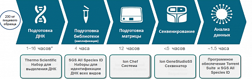 Этапы анализа пищевых продуктов на подлинность системой Ion GeneStudio S5, Thermo FS