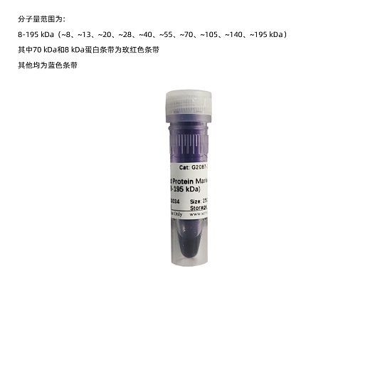 Маркер молекулярного веса белков, 8-195 кДа, предокрашенные, 250 мкл, Servicebio, Китай