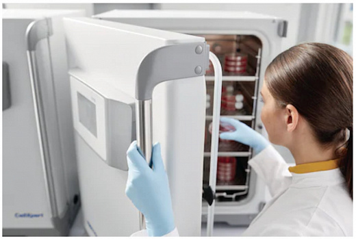 CO₂-инкубатор, 170 л, прямой нагрев, ИК-датчик стерилизуемый, 4-секционная дверца, ручка слева, CellXpert 170i Фото 3