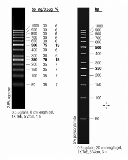 Маркер длин ДНК GeneRuler 50 bp, 13 фрагментов от 50 до 1000 п.н., 0,5 мкг/мкл Фото 2