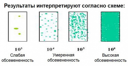 Микробиологические экспресс-тесты для определения КМАФАнМ (ОМЧ) и Enterobacteriaceae (с нейтрализатором дезсредств), двухсторонние, Dip-Slides, 10 шт/уп Фото 2