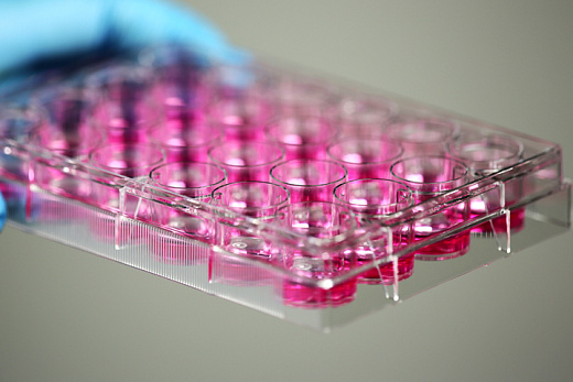 Планшеты культуральные 24-лун, плоскодонные, пов-ть ТС, стерильные, апирогенные, без ДНКаз и РНКаз Фото 3