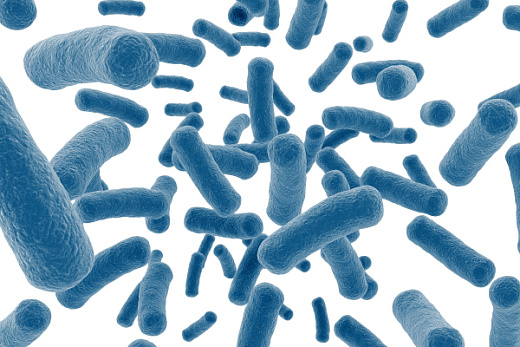 Пептон дрожжевой, аминный азон ≥ 2,5%, (FP103)