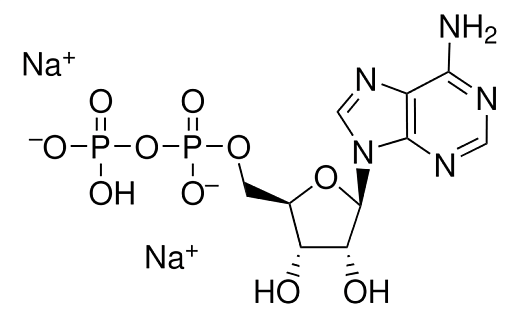 АДФ-Na₂ (Аденозин- 5-дифосфат, ADP- Na₂) динатриевая соль