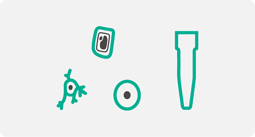 Сохранение идентичности отдельных клеток