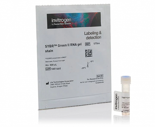 Краситель SYBR Green II, 10’000x, раствор в ДМСО