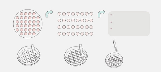 Чашки Петри с покровными пластинами CellSLIP 100 мм, диаметр пластины 8 мм, количество пластин 45 шт., ТС-обработаны, стерильные