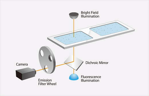 Счетчик и анализатор жизнеспособности стволовых клеток и клеток SVF, 1-90 мкм, LUNA-STEM Фото 2