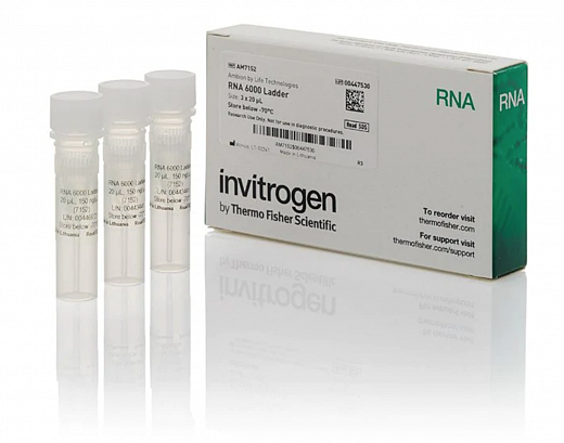Маркер РНК, RNA 6000, от 200 п.н. до 6000 п.н., 150 мкг/мл Фото 2
