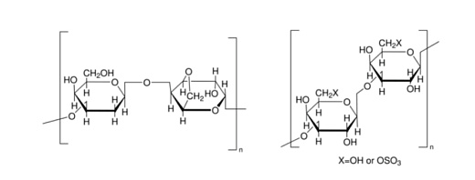 Агар LB по Miller с ампициллином, 100 мкг/мл, Диаэм