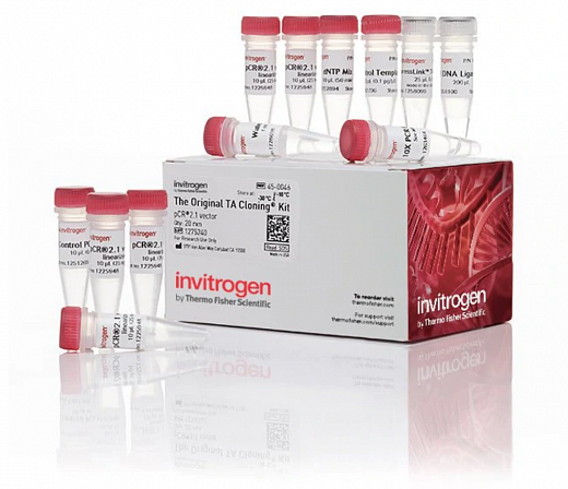 Набор для клонирования TA Cloning Kit, with pCR 2.1 Vector, компетентные клетки не включены