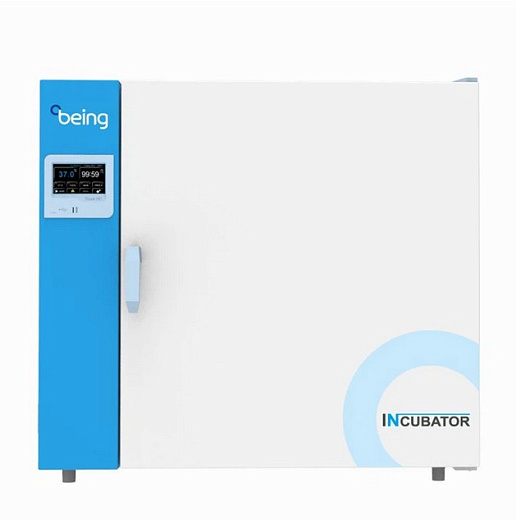 Термостат, до +80 °С, 54 л, камера из нержавеющей стали, LCD контроллер, естественная вентиляция, Being, Китай