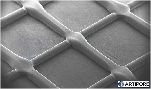 Диски для 3D культивирования полученные методом электроформования, невыровненные нановолокна, материал нанесен радиально, толщина подложки 60 мкм, 24 луночный планшет