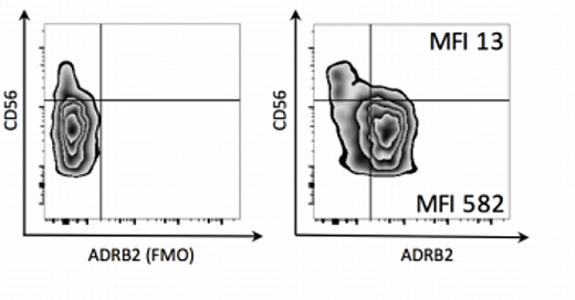 Набор для конъюгации антител PE / R-Phycoerythrin Conjugation Kit, Lightning-Link Фото 2