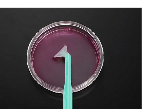 Скребок для клеток, вращающийся, лезвие 12 мм, рукоятка 23 см, стерильный, ПЭ/АБС, инд., упак., 150 шт./кор., Jet Biofil, Китай