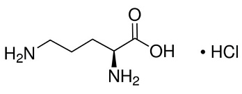 Орнитин-L моногидрохлорид, 98,0 %, Индия