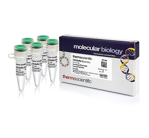 Буфер G (Green), 10x