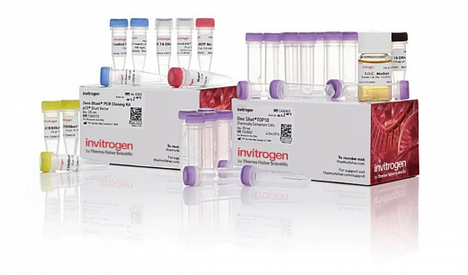 Набор Zero Blunt PCR Cloning Kit