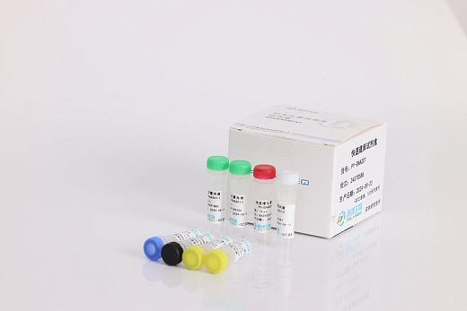 Rapid Library Prep Kit, 6 реакций, Polyseq Biotech